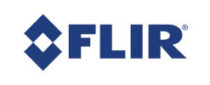 FLIR Security